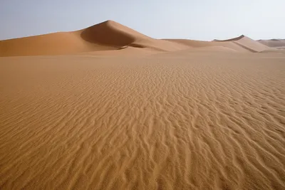 Пустыня — Викицитатник
