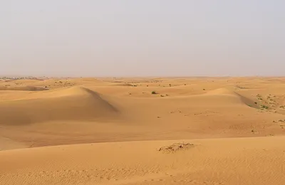 Тур-знакомство с великой пустыней Сахара | АльпИндустрия-Тур