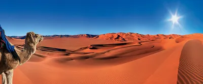 Скачать обои пустыня, песок, ночное небо, волны на рабочий стол из раздела  картинок Пустыня