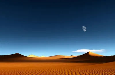 Самые большие пустыни на Земле. Тема: География | by Eggheado | Eggheado:  Geography | Medium