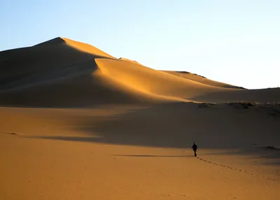 Скачать 1920x1080 пустыня, песок, дюны, холмы, холмистый обои, картинки  full hd, hdtv, fhd, 1080p