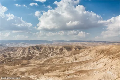 Самая большая пустыня Китая Такла-Макан, вероятно, сформировалась 300 000  лет назад, говорят исследователи