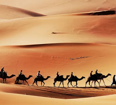 Дубай пустыня (55 фото) - 55 фото