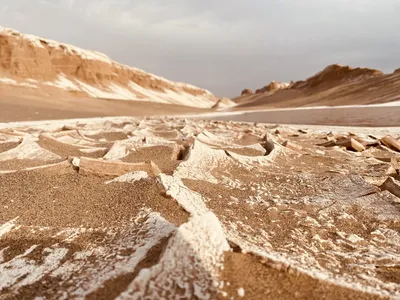 Раскрыта причина появления самой крупной пустыни мира - 01.02.2021, Sputnik  Таджикистан