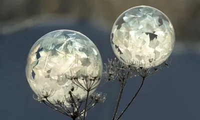 Мыльные пузыри на морозе | Пикабу