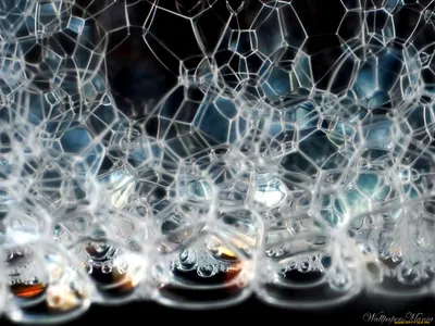 Мыльные Пузыри Голубом Фоне Векторное изображение ©Olga_larionova_11  246132250