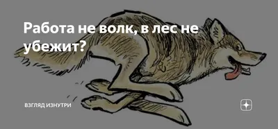 Кружка Работа не волк купить в интернет-магазине Другие Подарки по цене 323  ₽ в Москве