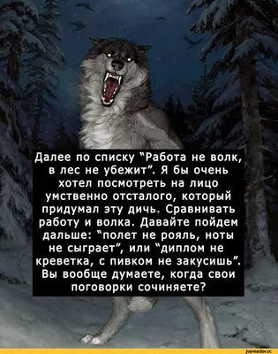 Работа - не волк, только волк - волк | Пикабу