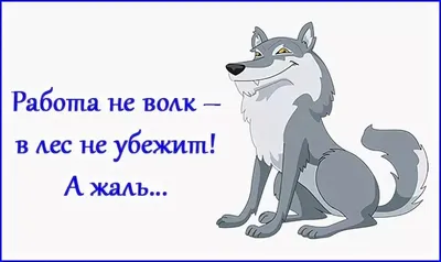 Работа — не волк. Работа — ворк, а волк — это гулять. | Felix Shamirov |  Дзен