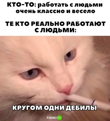 Как не сойти с ума, если много работаешь? 10 вопросов психологу от офисных  сотрудников | Vector