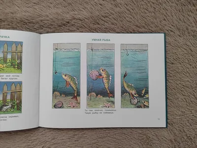 Купить книгу Рассказы в картинках — цена, описание, заказать, доставка |  Издательство «Мелик-Пашаев»