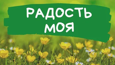 Девичья радость — ❤ Доставка цветов в Ярославле