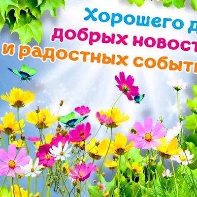 Raziyat_ilyasova | Желаю всем подписчикам теплого и радостного дня! 🥰🥰🥰  | Дзен