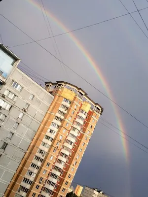 Rainbow Радуга