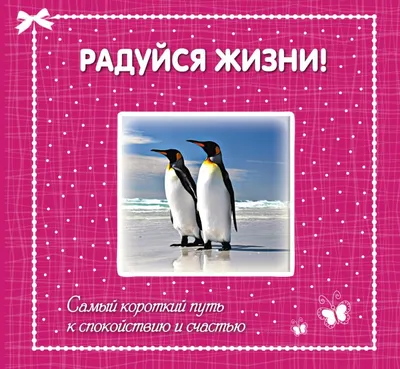 Делу время, потехе час. Живите сегодняшним днем, отдыхайте и радуйтесь жизни!  | Записки Велопутешественника | Дзен