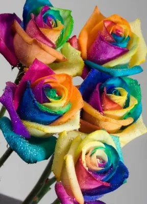 Доставка радужные розы по Караганде - Арт-букет