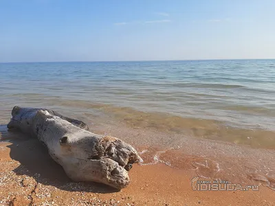 Фотообои высокого качества с эффектом 3D \"Райский уголок\" 196х350 см ( 20  листов) (ID#1075867821), цена: 380 ₴, купить на Prom.ua