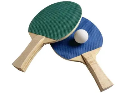 Профессиональная ракетка для настольного тенниса Donier SP-Carbon PRO купить