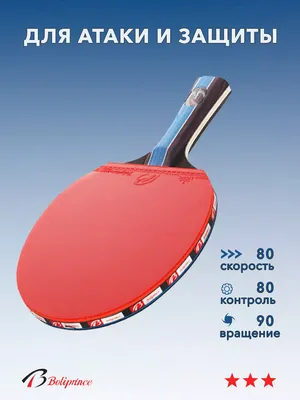Ракетка для настольного тенниса SPRINTER 1* накладка 1,6мм в г. Москва |  Купить спортивное оборудование и инвентарь в интернет-магазине СпортВектор  | Ракетки для тенниса по цене от 470