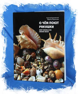 Купить фотообои \"Морские звезды и ракушки на пляже\" в интернет-магазине в  Москве