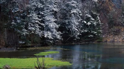 Ранняя зима в лесу. Смотреть онлайн широкие фоны красивых пейзажей для  android. Зима, иней.