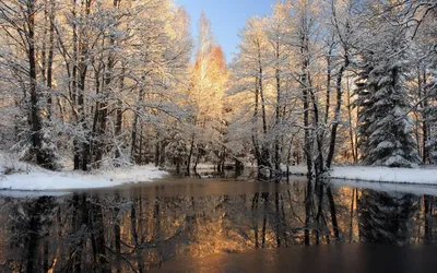 Ранняя зима - 73 фото