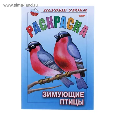 Раскраска \"Зимующие птицы\", серия Первые уроки (299629) - Купить по цене от  13.37 руб. | Интернет магазин SIMA-LAND.RU