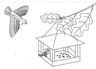 Раскраска Птицы на зимовке — Мир раскрасок
