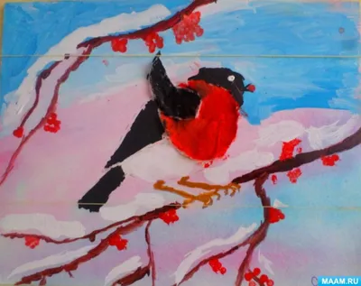 Раскраска зимующие птицы россии 😻 распечатать бесплатно