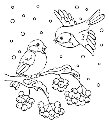 Зима, забавные птицы в шапочках на кормушке птица Зимние раскраски для  мальчиков
