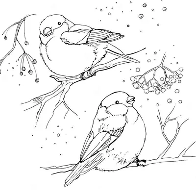 Библиоигрушки «Зимующие птицы»