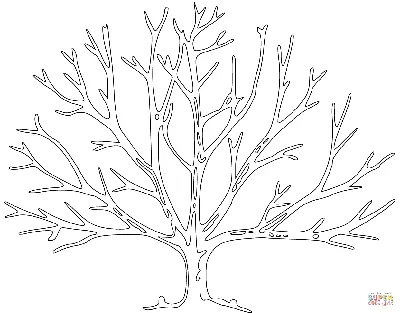 Раскраска Дерево с голыми ветками | Раскраски для детей печать онлайн
