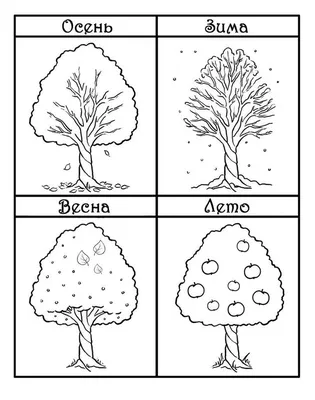 Раскраски Деревья | Рабочие тетради для детского сада, Раскраски, Для детей