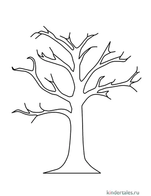 Дерево без листьев» раскраска для детей - мальчиков и девочек | Скачать,  распечатать бесплатно в формате A4