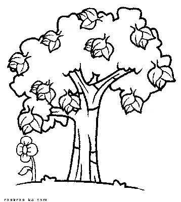 Раскраска Дерево весной | Раскраски деревья для детей распечатать, скачать
