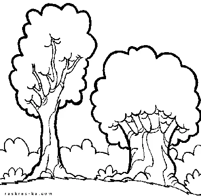 Раскраска Осеннее дерево | Раскраски для детей печать онлайн