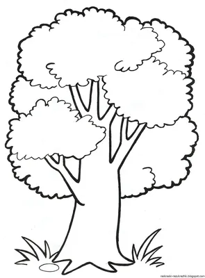 Дерево раскраска для детей - 127 фото