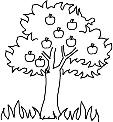 Раскраска Деревья - детские раскраски распечатать бесплатно