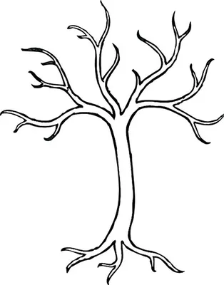 Дерево без листьев - раскраска