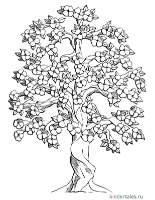 Раскраска Дерево рябина | Раскраски деревья, их листья, цветение и семена