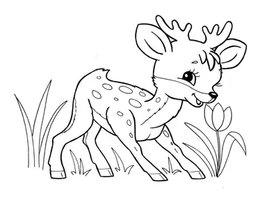 Рисовать план красивого енота карикатур. Книжка-раскраска диких животных  лесов для детей. Иллюстрация вектора - иллюстрации насчитывающей счастливо,  контур: 207137093