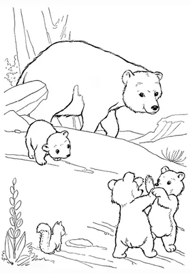 Раскраски «Дикие животные» для детей 5-7 лет распечатать бесплатно