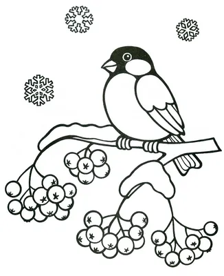 Раскраски птицы сорока (47 фото) » Картинки, раскраски и трафареты для всех  - Klev.CLUB