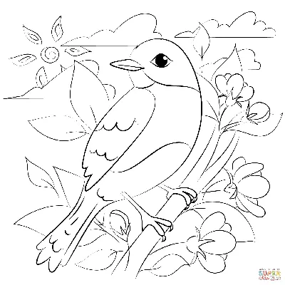Птицы раскраска для дошкольников - 76 фото