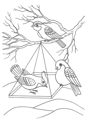 Раскраски зима зимующие птицы (46 фото) » Картинки, раскраски и трафареты  для всех - Klev.CLUB