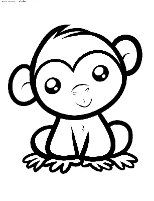 Раскраска Маленькая обезьянка | Раскраски обезьянки. Раскраска обезьяна для  детей