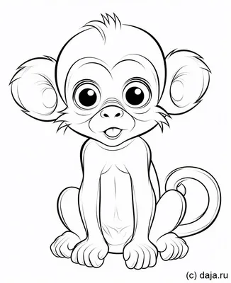 Раскраска Маленькая обезьянка | Раскраски обезьянки. Раскраска обезьяна для  детей