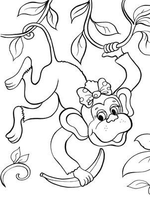 Обезьянка (Monkey) | Раскраска для детей: 31 разукрашка распечатать  бесплатно