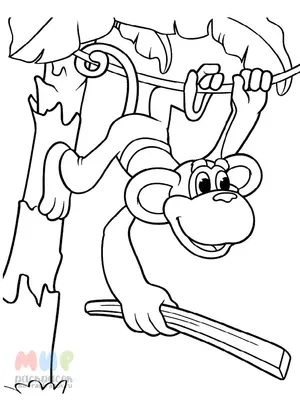 Веселые и развивающие раскраски с обезьянками для детей