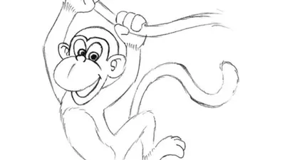 Осторожно обезьянки раскраска - 65 фото